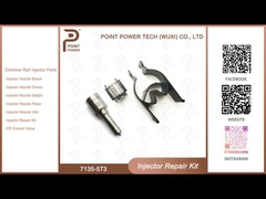 7135-573 Delphi Common Rail Injetor Kits para os injetores comuns 28229873 do trilho, 33800-4A710