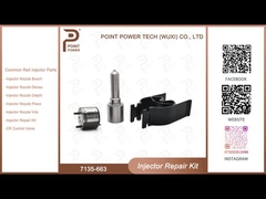 7135-663 Kit de reparação de injetores Delphi