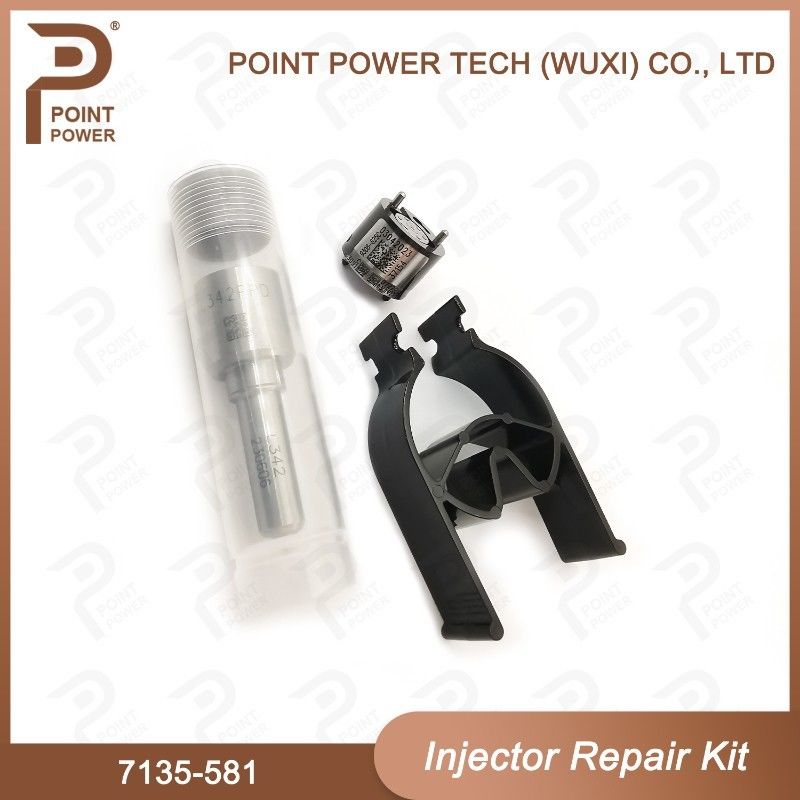 Kit de reparação do injetor Delphi para R00101D PSA / FORD DW10C