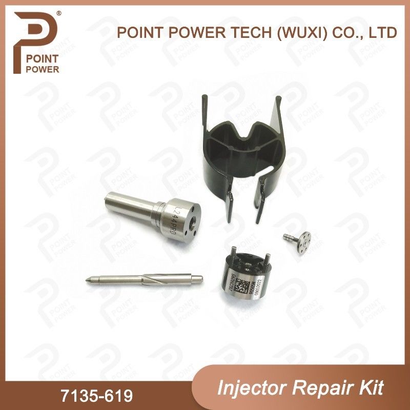 7135-619 Kit de reparação de injetores Delphi Para injetores Delphi Sangyong R04501d Kit de válvula de bocal