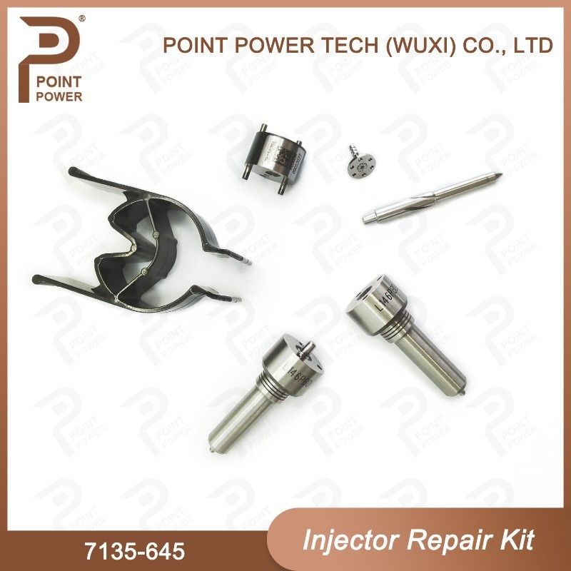 7135-645 Kit de reparação de injetores Delphi para injetores R05201D Kit de CVA com bocal de carril comum