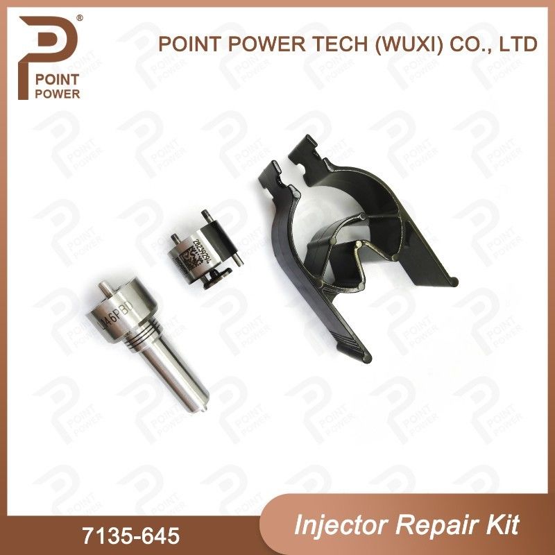 7135-645 Kit de reparação de injetores Delphi para injetores R05201D Kit de CVA com bocal de carril comum