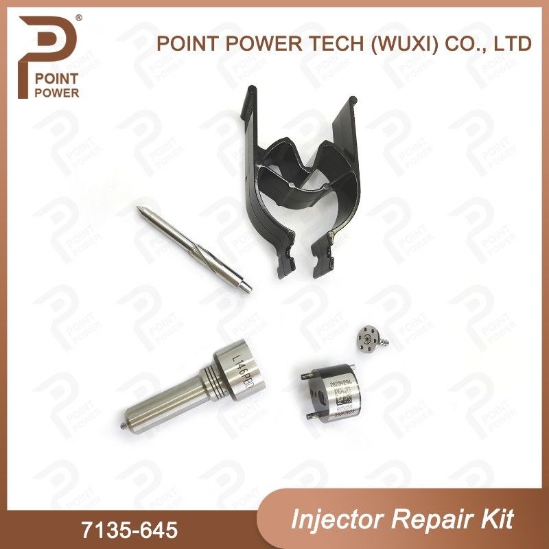 7135-645 Kit de reparação de injetores Delphi para injetores R05201D Kit de CVA com bocal de carril comum