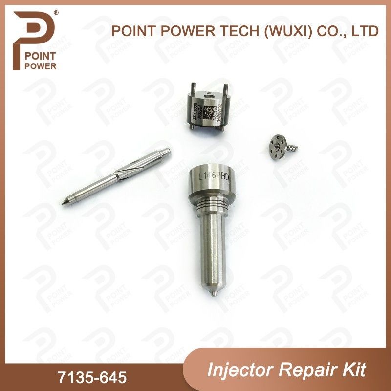 7135-645 Kit de reparação de injetores Delphi para injetores R05201D Kit de CVA com bocal de carril comum