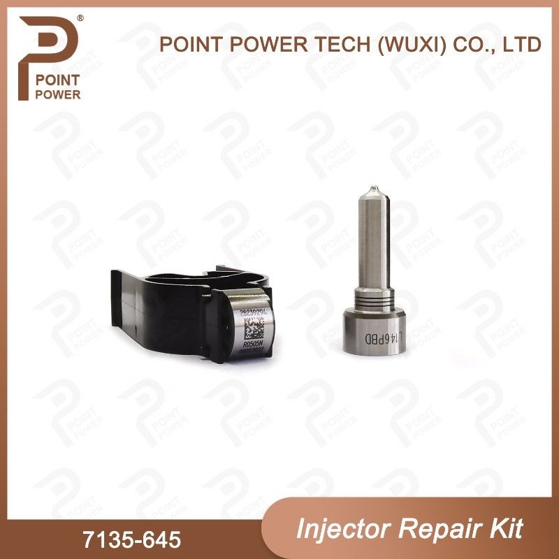7135-645 Kit de reparação de injetores Delphi para injetores R05201D Kit de CVA com bocal de carril comum