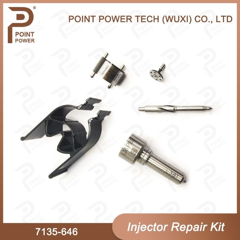 7135-646 Kit de reparação do injetor Delphi para o injetor 28232251/ R03101D/R05102D Kit de válvula de bocal