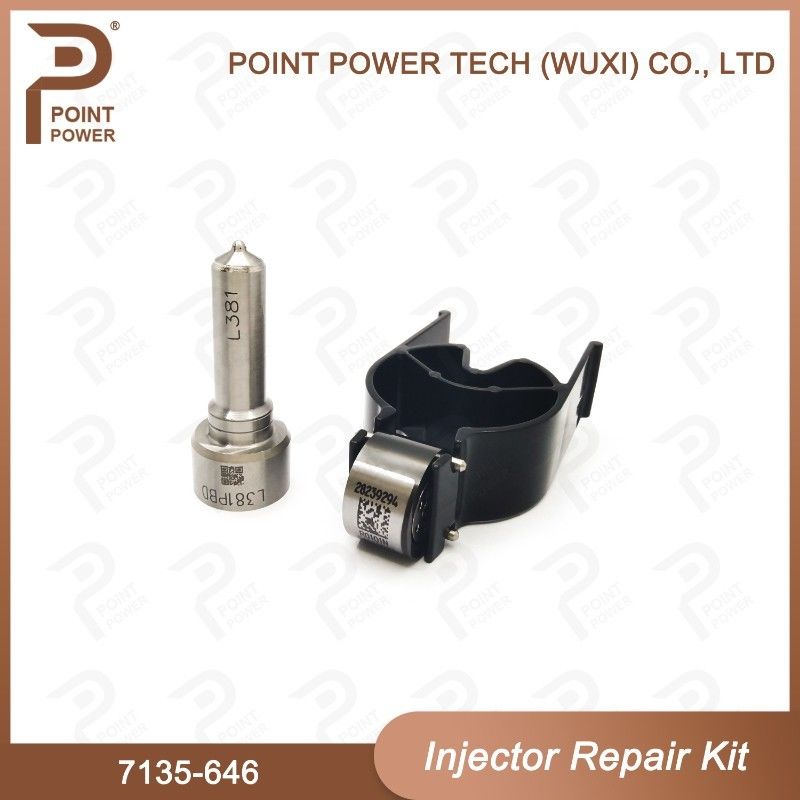 7135-646 Kit de reparação do injetor Delphi para o injetor 28232251/ R03101D/R05102D Kit de válvula de bocal