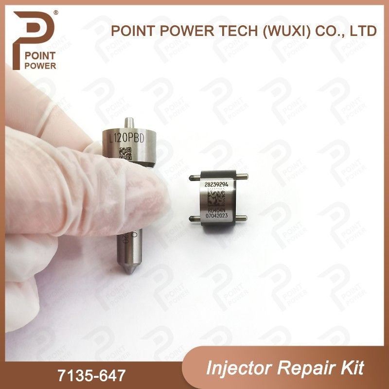 7135-647 Kit de reparação de injetores Delphi para injetores 28232248 Kit de válvulas com bocal L120PBD