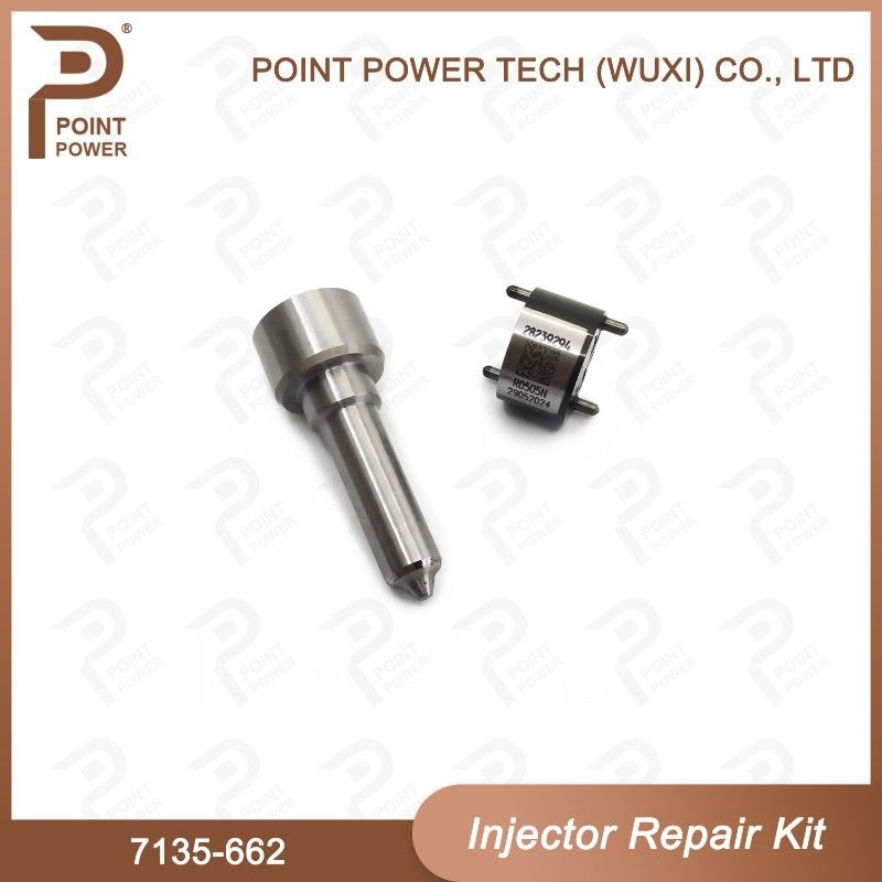 7135-662 Kit de reparação de injetores Delphi Peças de injetores diesel de trilho comum Kit de válvulas para injetores R05001D