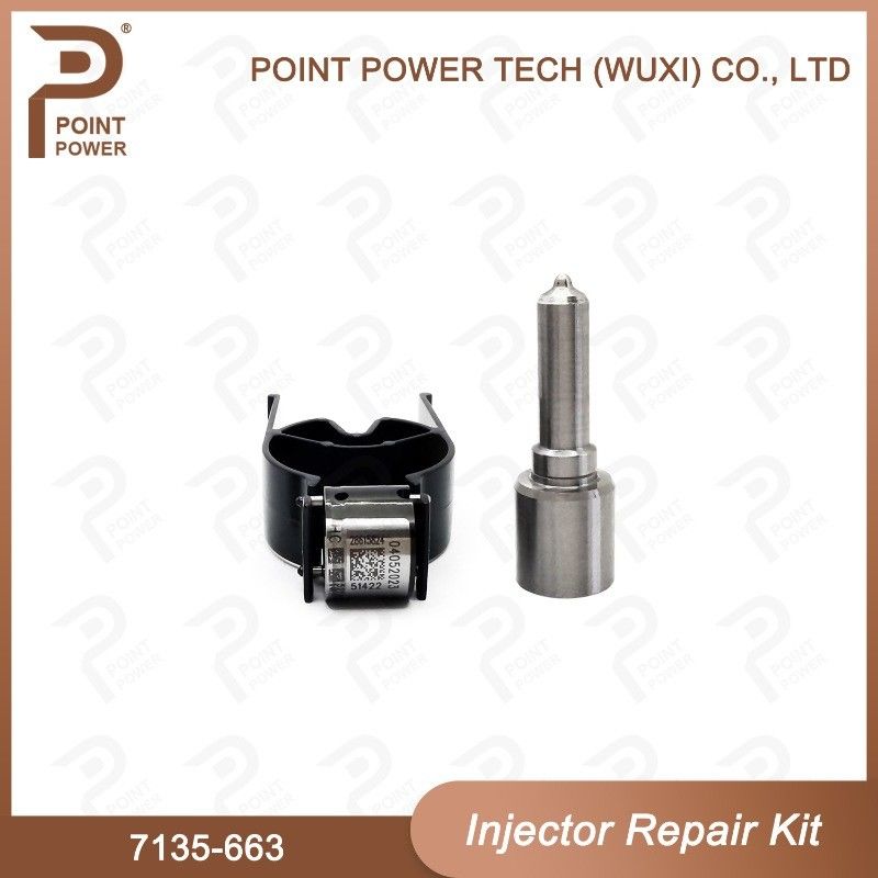 7135-663 Kit de reparação de injetores Delphi