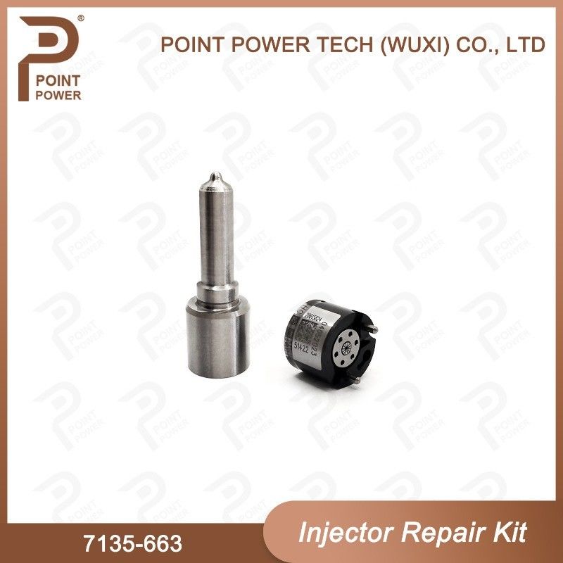7135-663 Kit de reparação de injetores Delphi