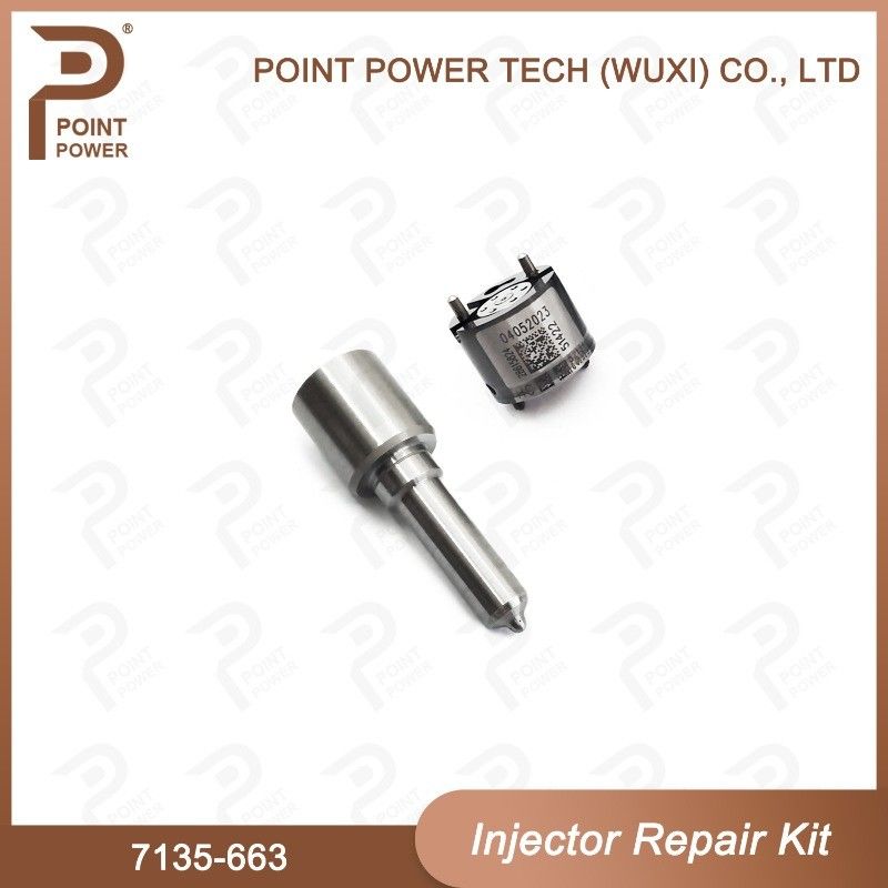 7135-663 Kit de reparação de injetores Delphi