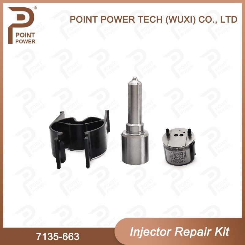 7135-663 Kit de reparação de injetores Delphi