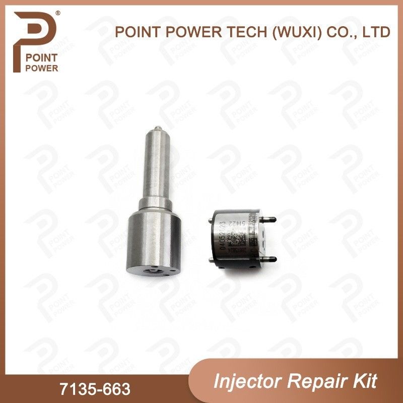 7135-663 Kit de reparação de injetores Delphi